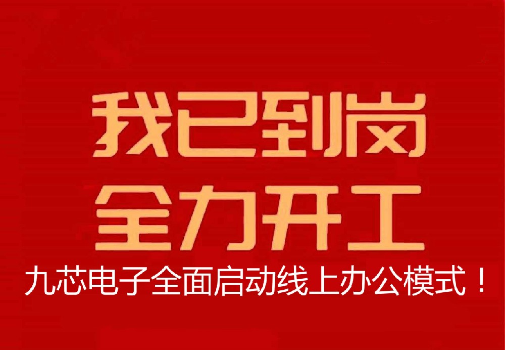 九芯语音芯片