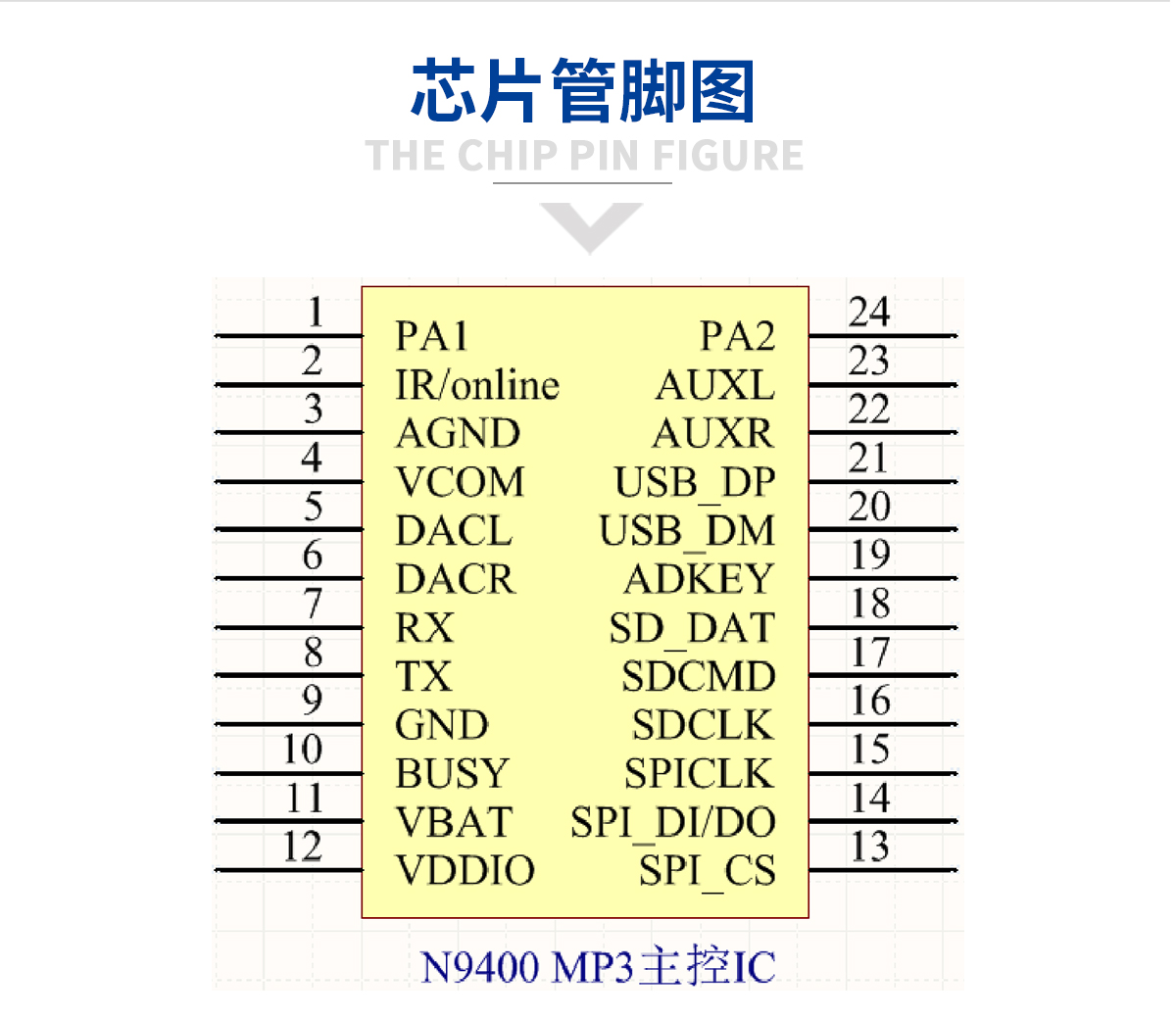 苹果芯片图片大全-苹果芯片高清图片下载-觅知网